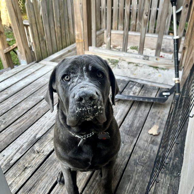 I Swear I Wasn't Digging In The Sandbox