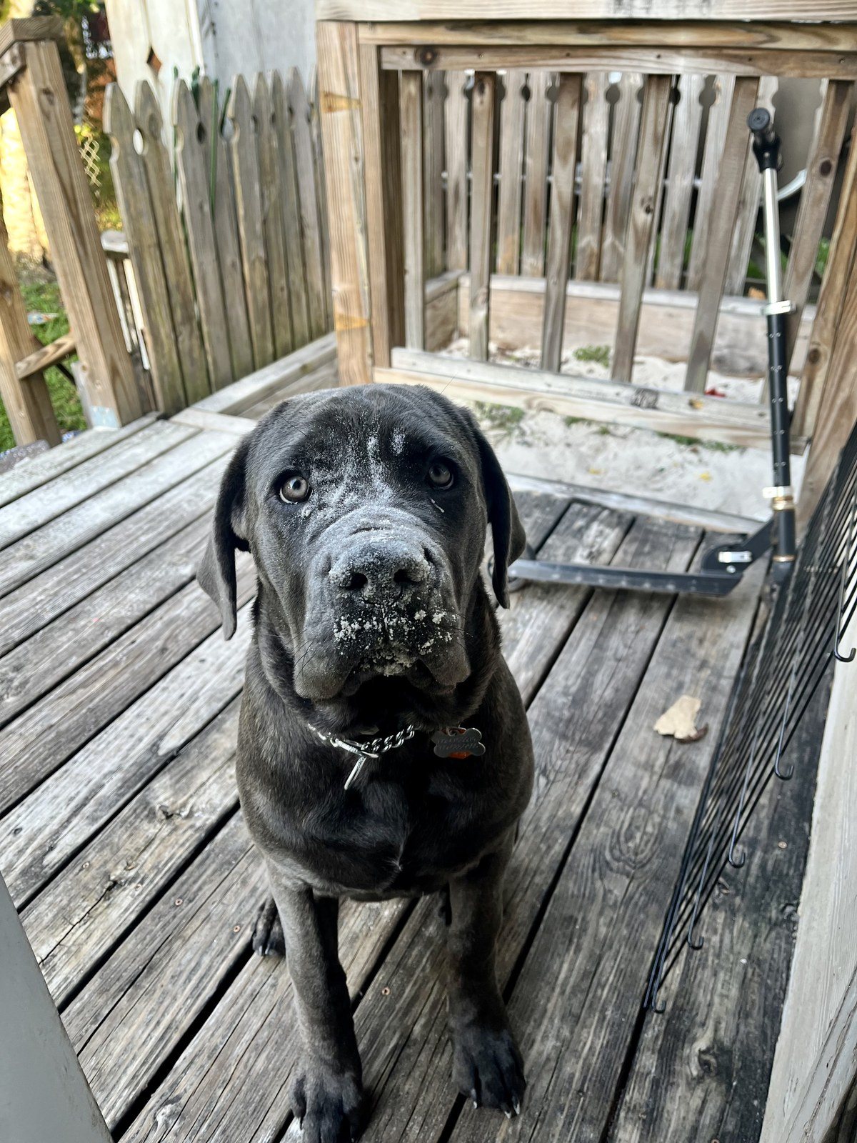I Swear I Wasn't Digging In The Sandbox