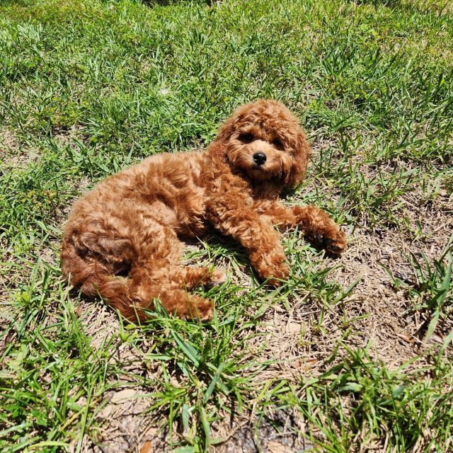 Just Working On My Tan