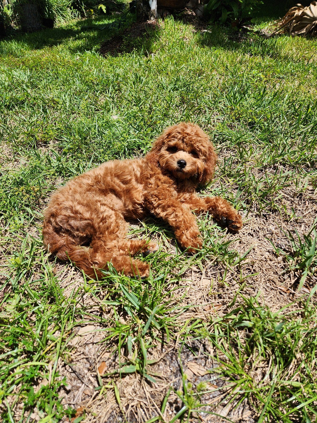 Just Working On My Tan