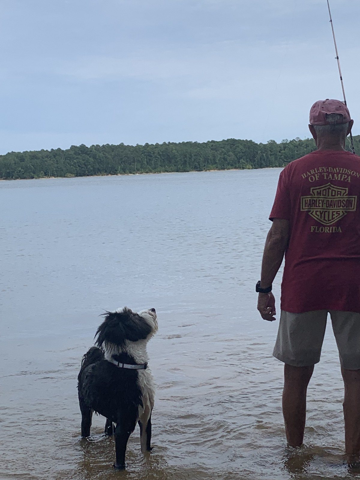 Suzie's Fishing