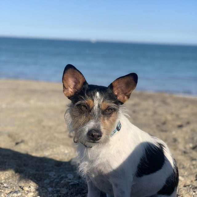 Feeling' Beachy!