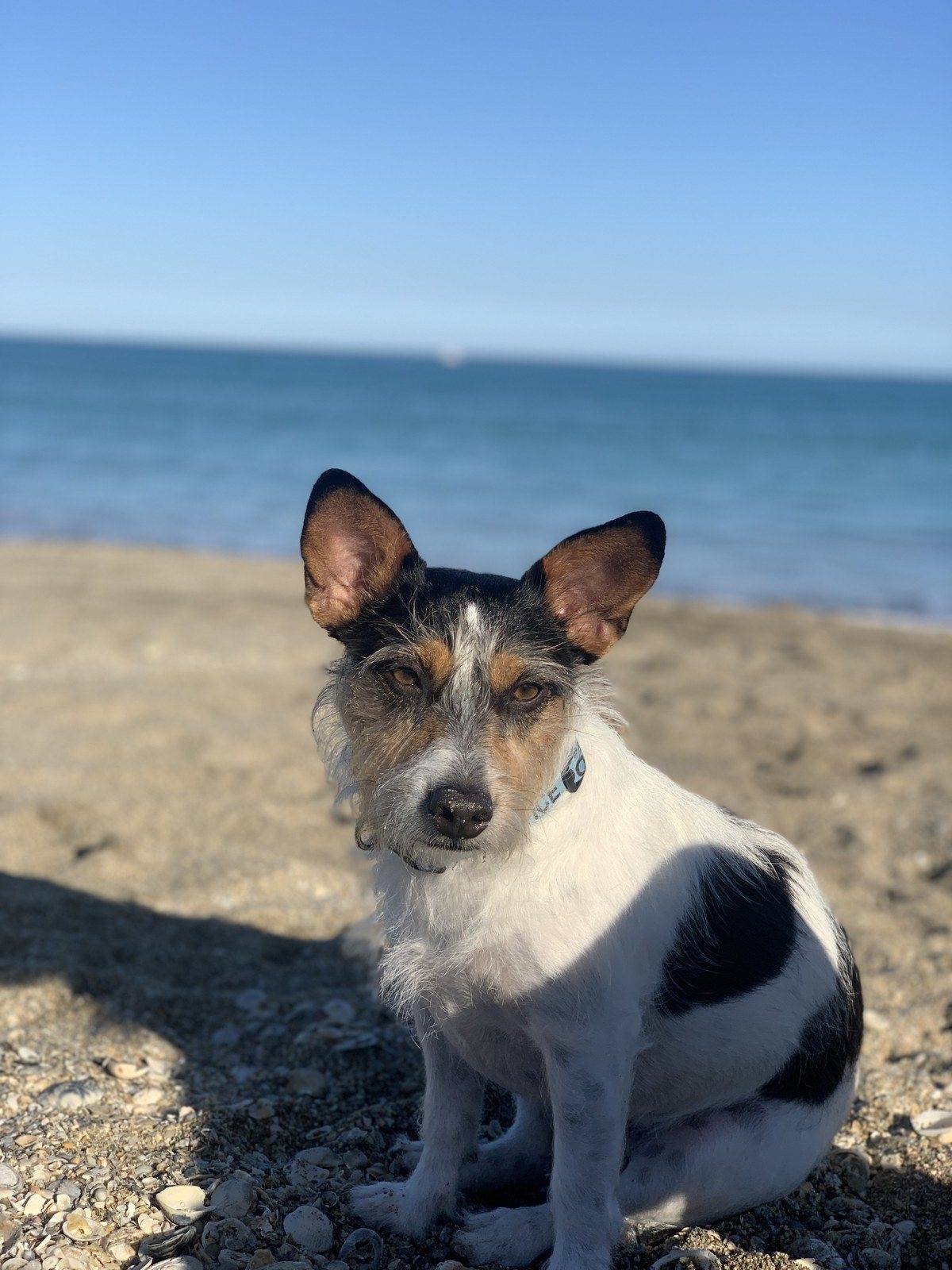 Feeling' Beachy!