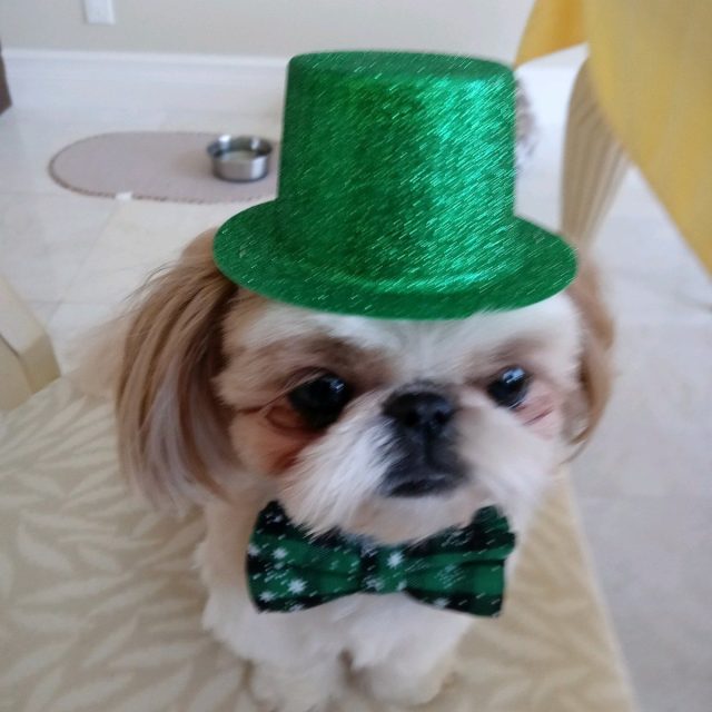 A Little Irish