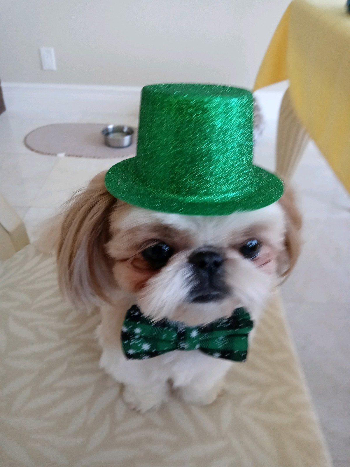 A Little Irish