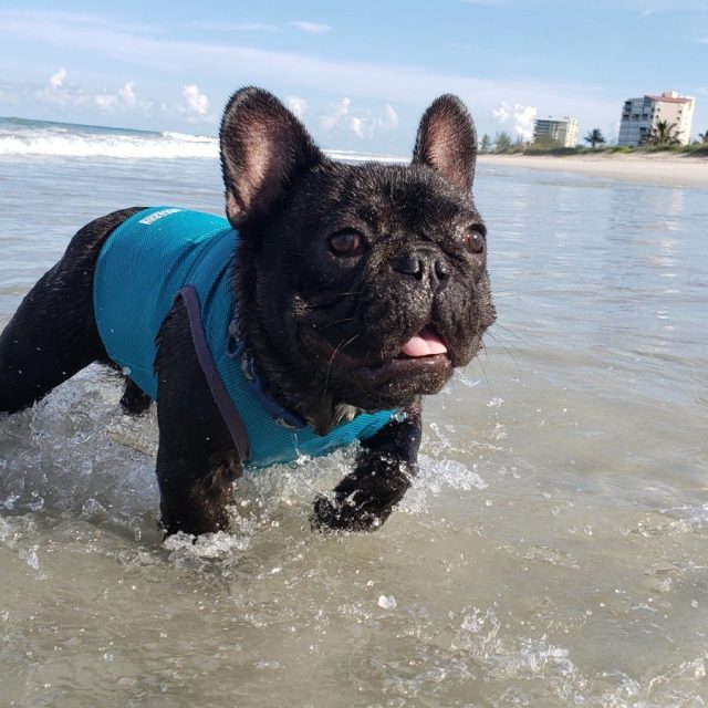 Beach Bum