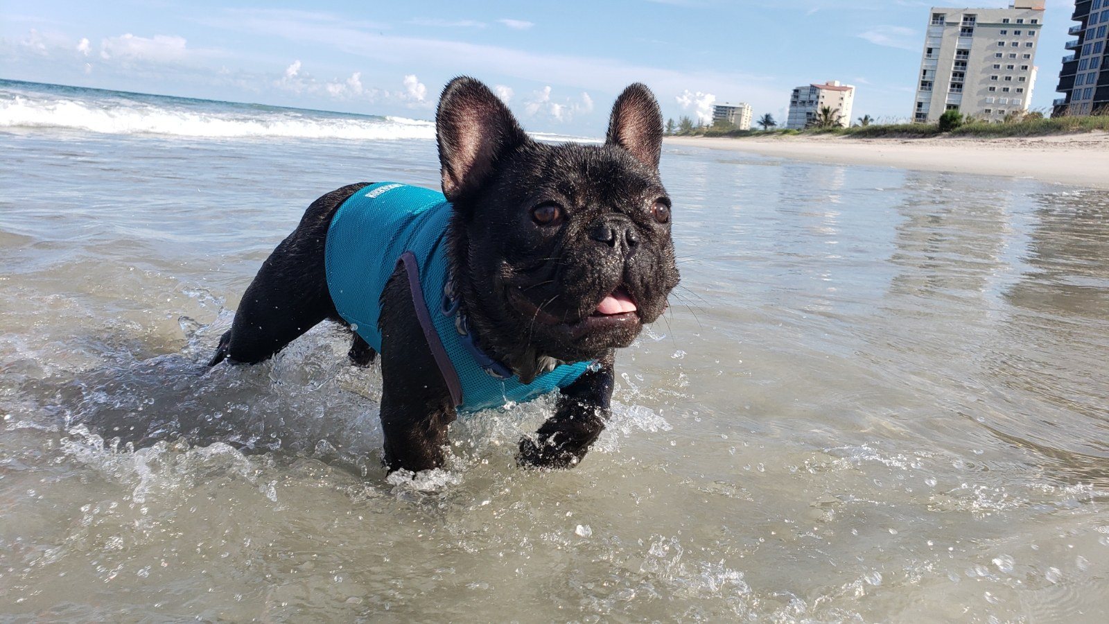 Beach Bum