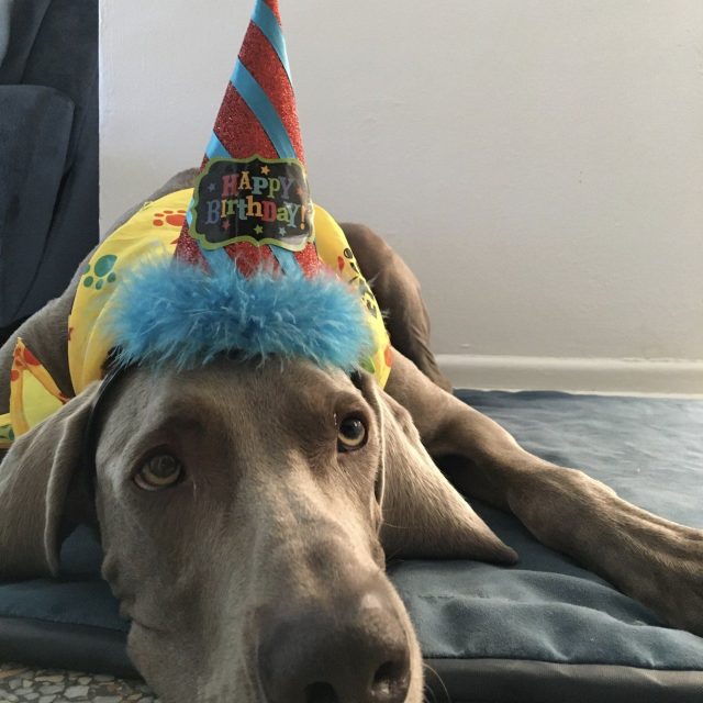 Another Year Older