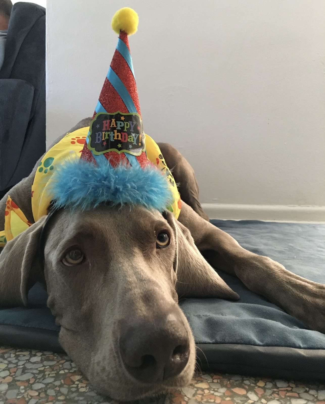 Another Year Older