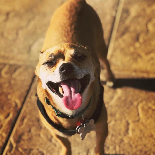 Smile!