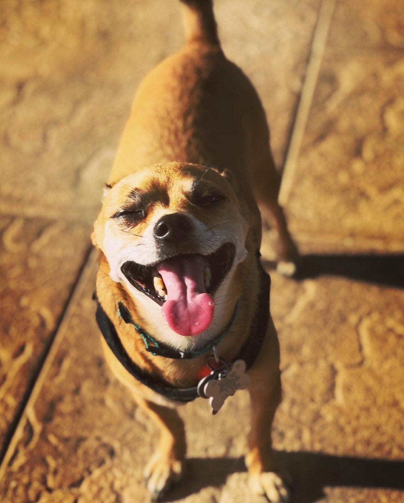 Smile!