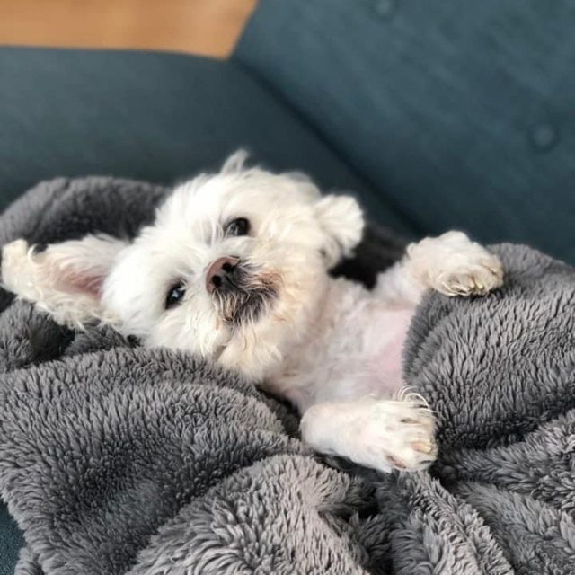 All Tucked In