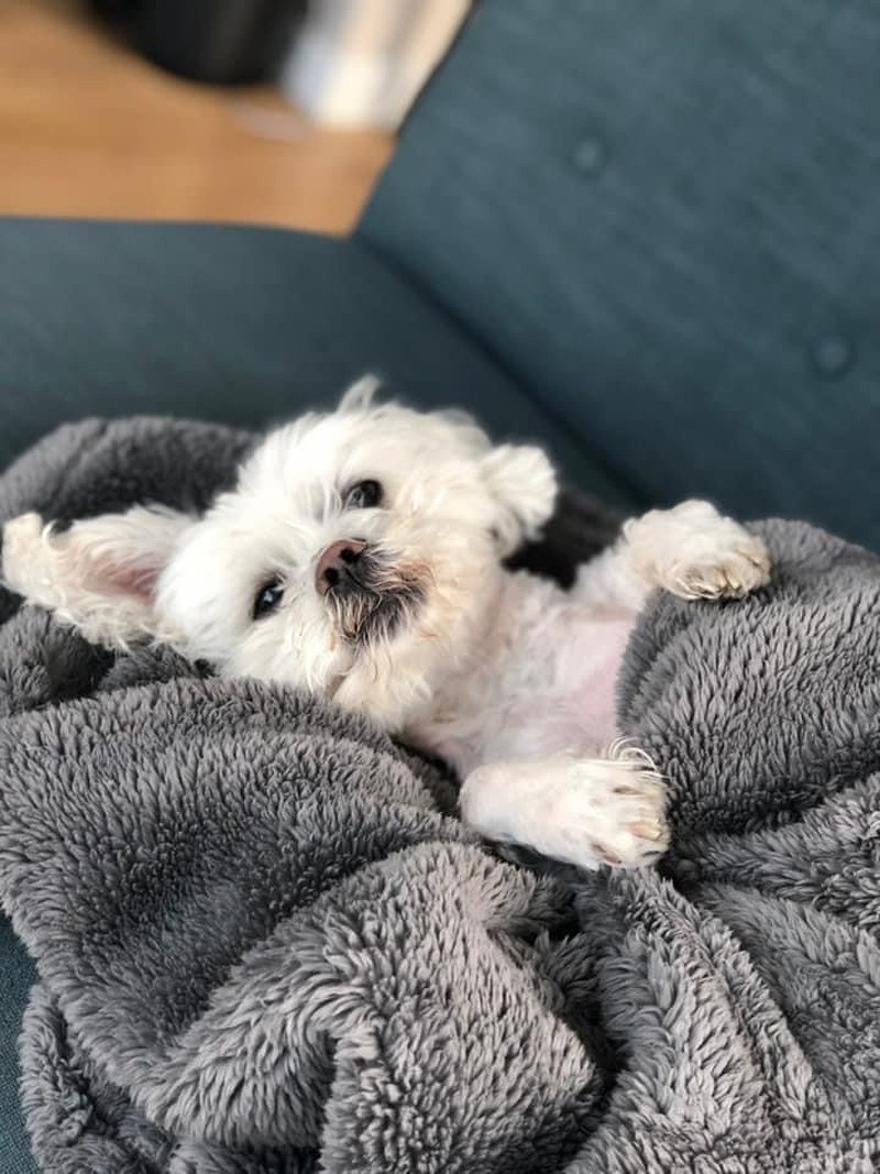 All Tucked In