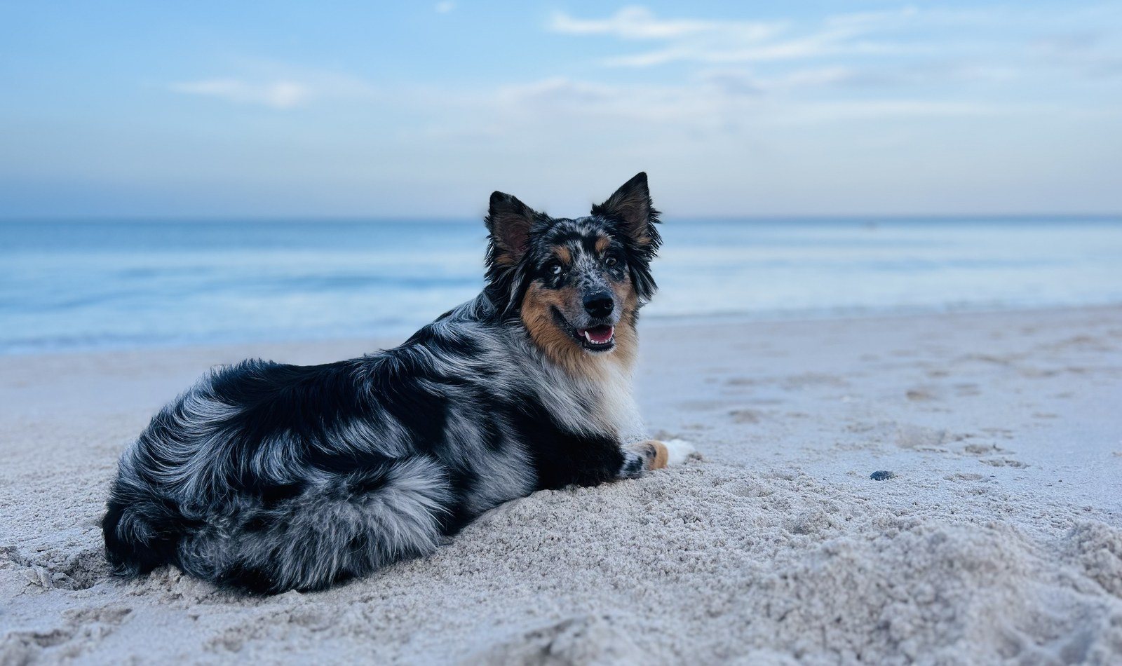 River Rocks At The Beach 🏝️