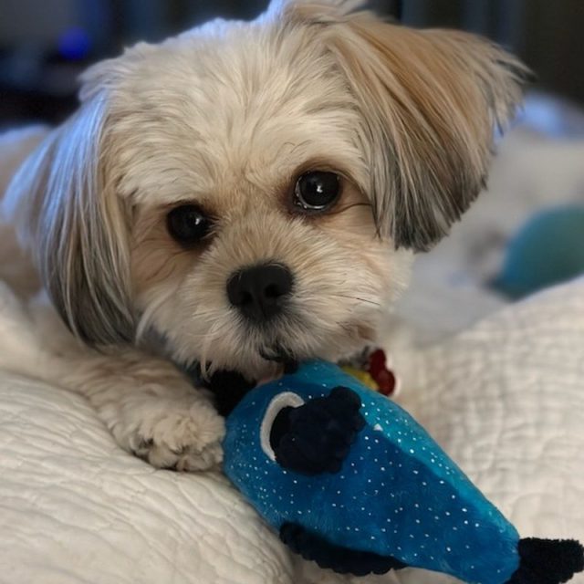 Wanna Play?