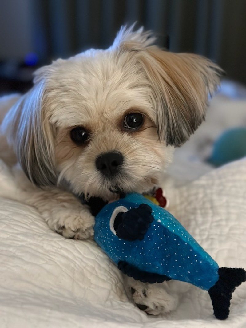 Wanna Play?