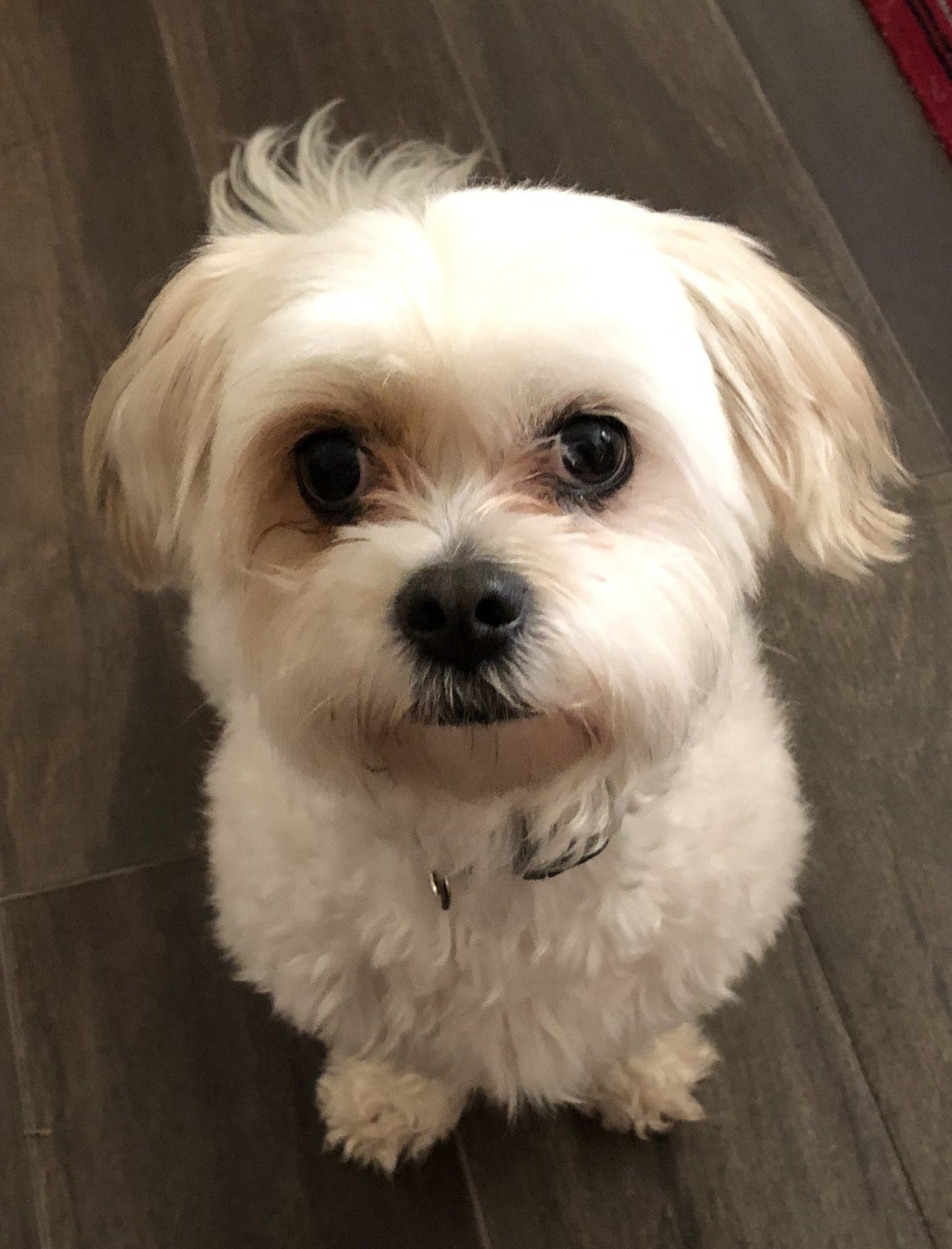 Rosie Posie