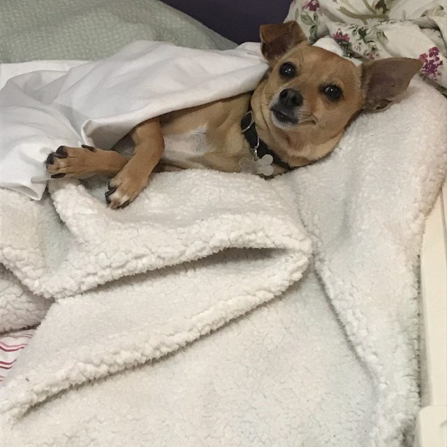 Is It Time To Get Up And Potty?