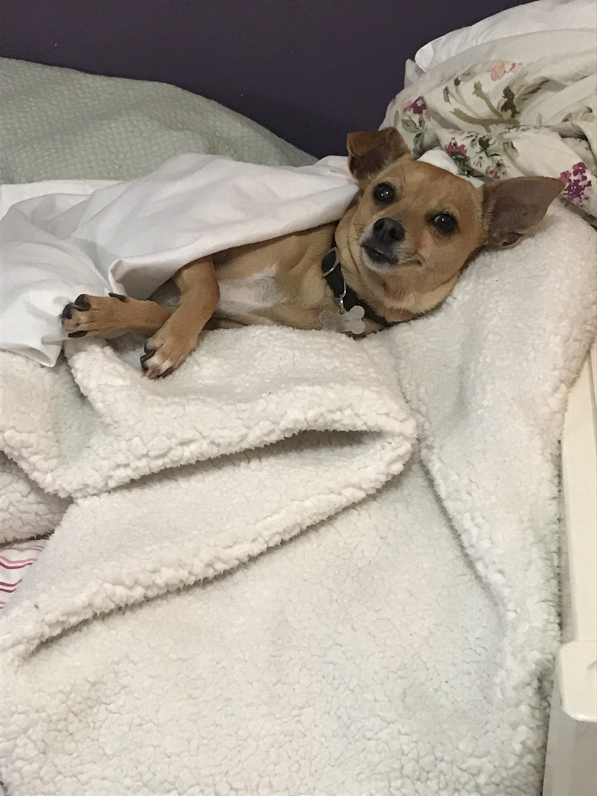 Is It Time To Get Up And Potty?