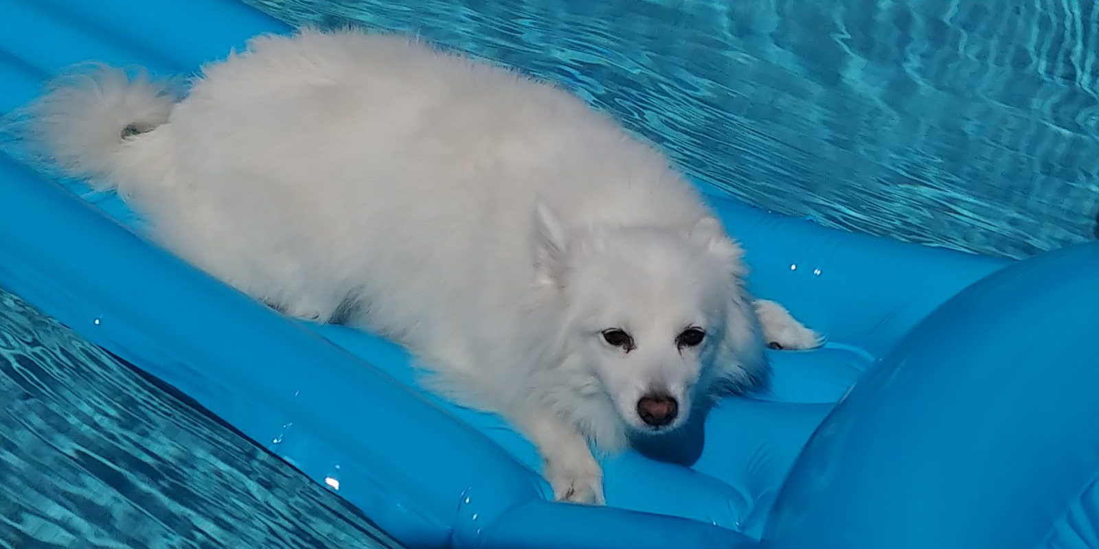 Squirt Catching A Wave