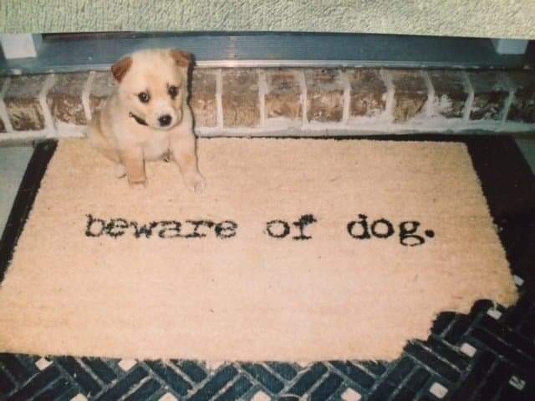 Beware Of The Dog
