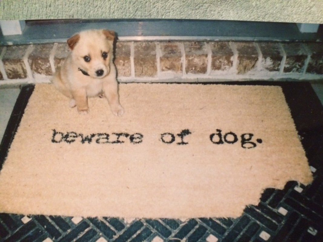 Beware Of Dog