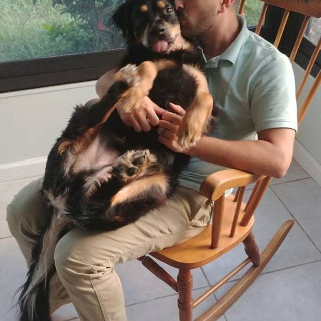 Who Is A Good Boy!! - Shadow