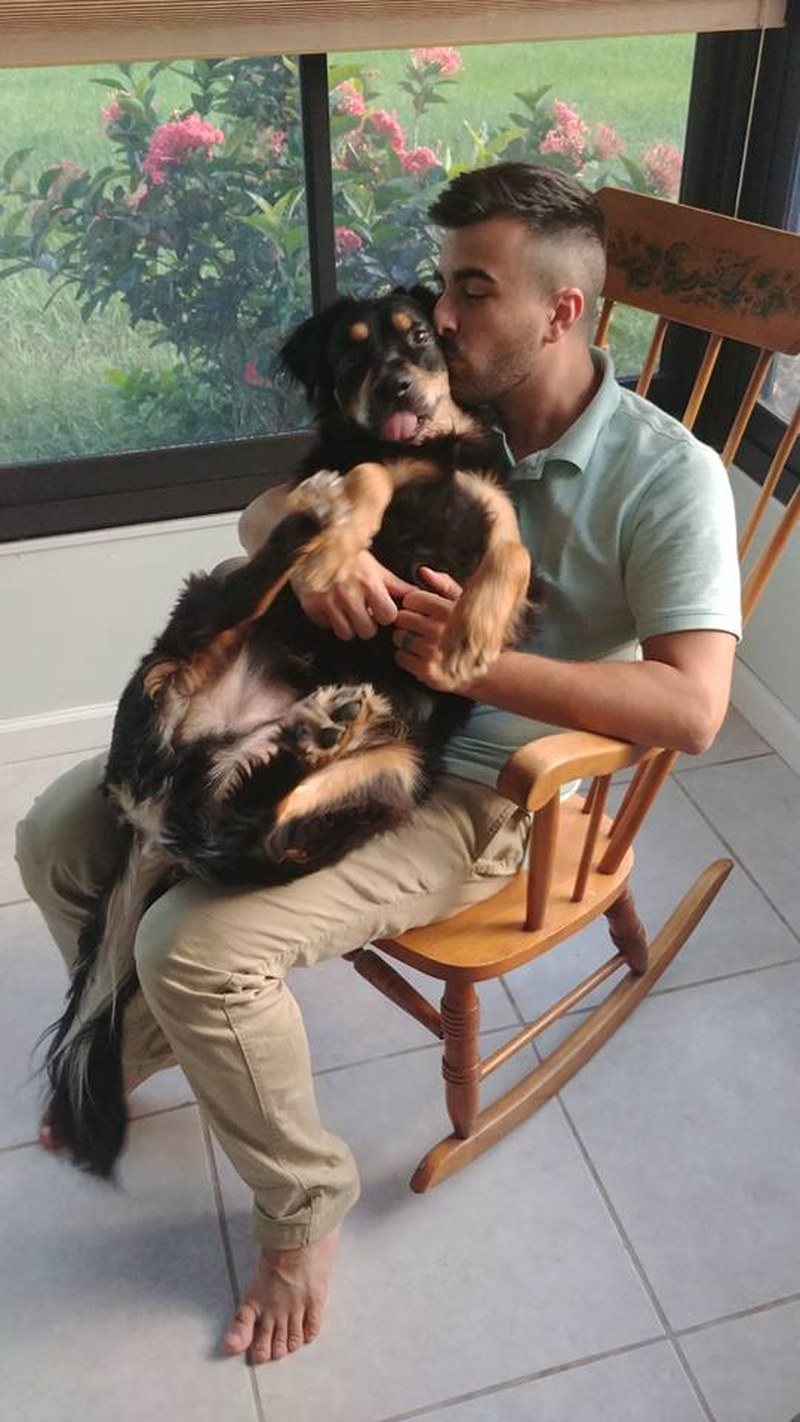 Who Is A Good Boy!! - Shadow