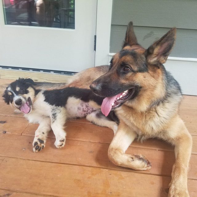 Brotherly Love