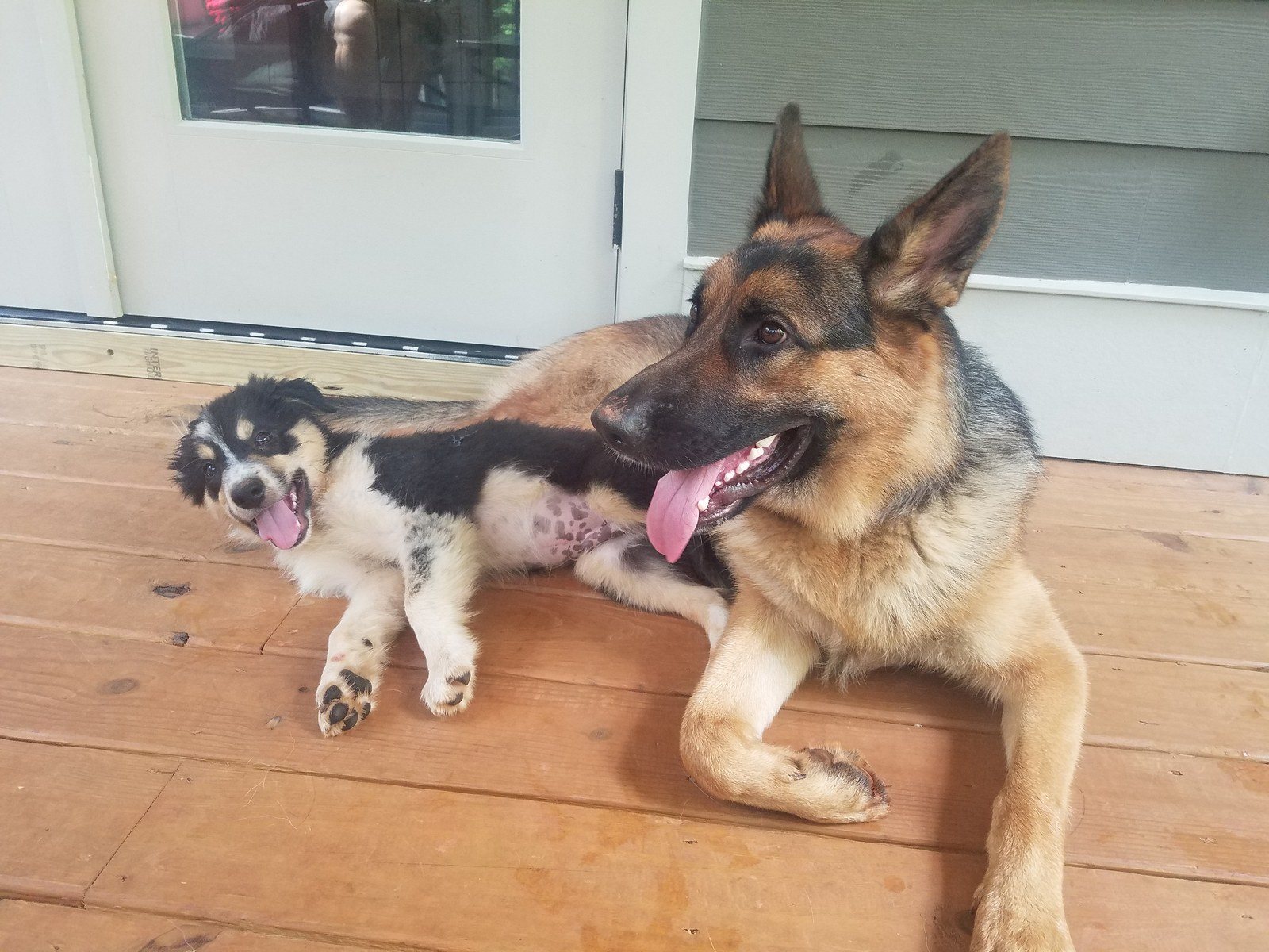 Brotherly Love