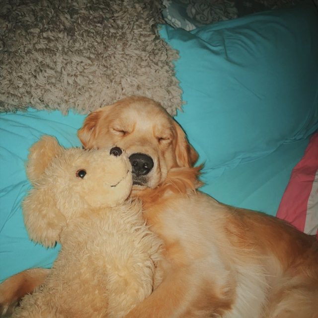 Sweet Dreamz