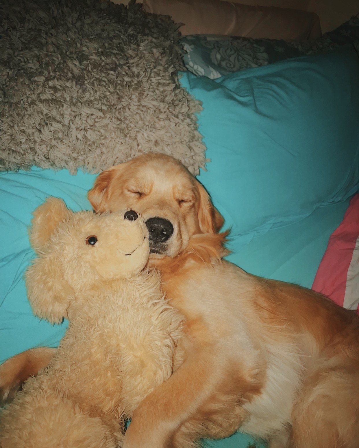 Sweet Dreamz
