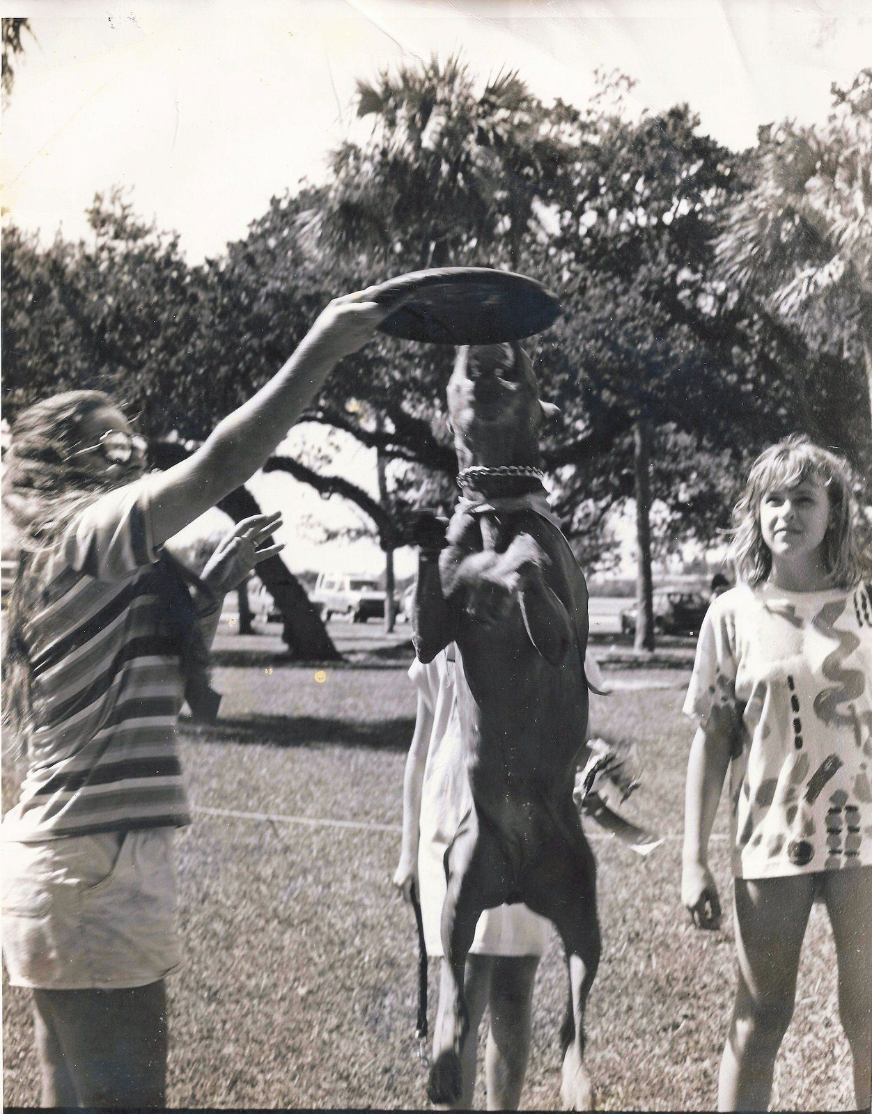 Won-Most Talented-frisbee Catcher