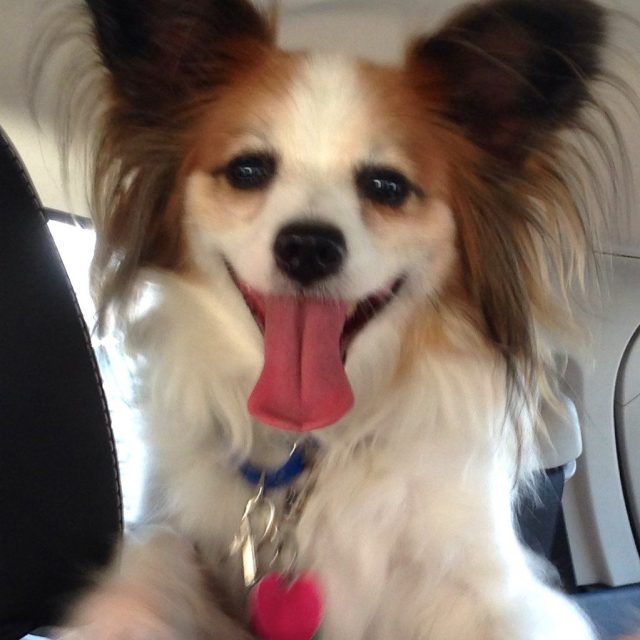I'm Going To The Park
