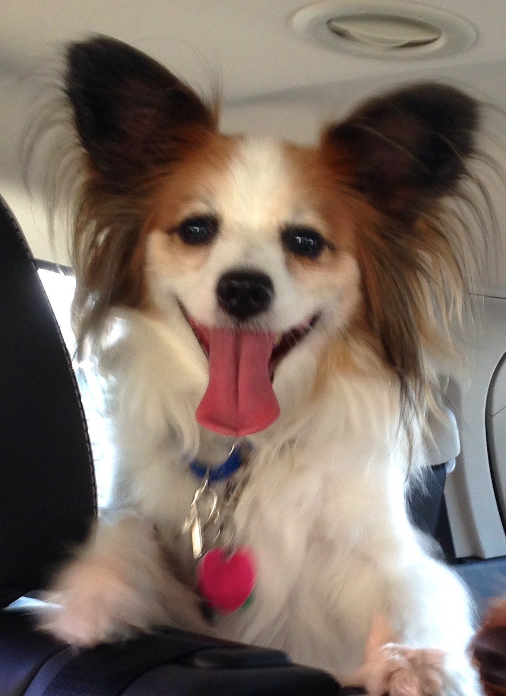 I'm Going To The Park