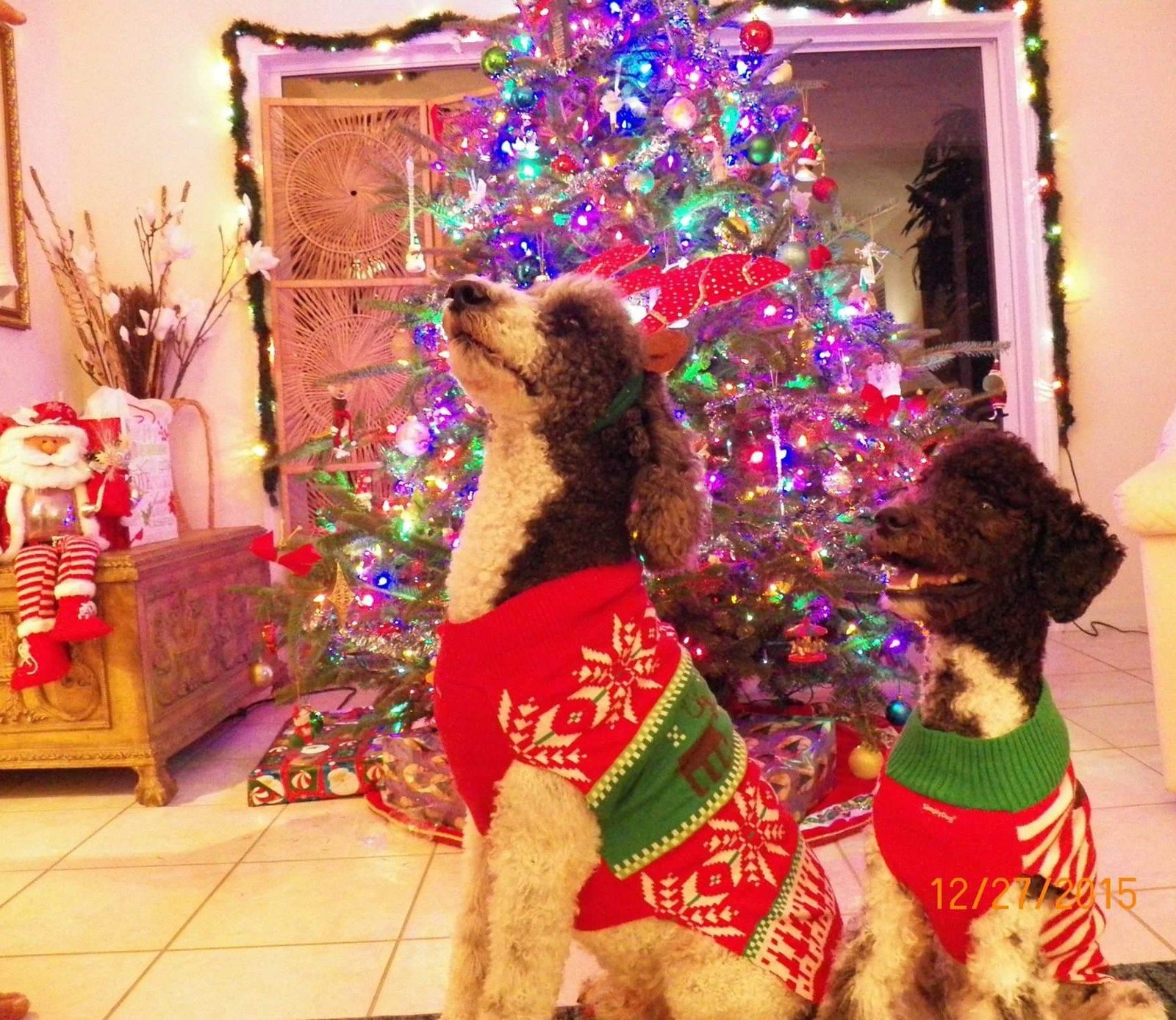 Christmas Joy!!