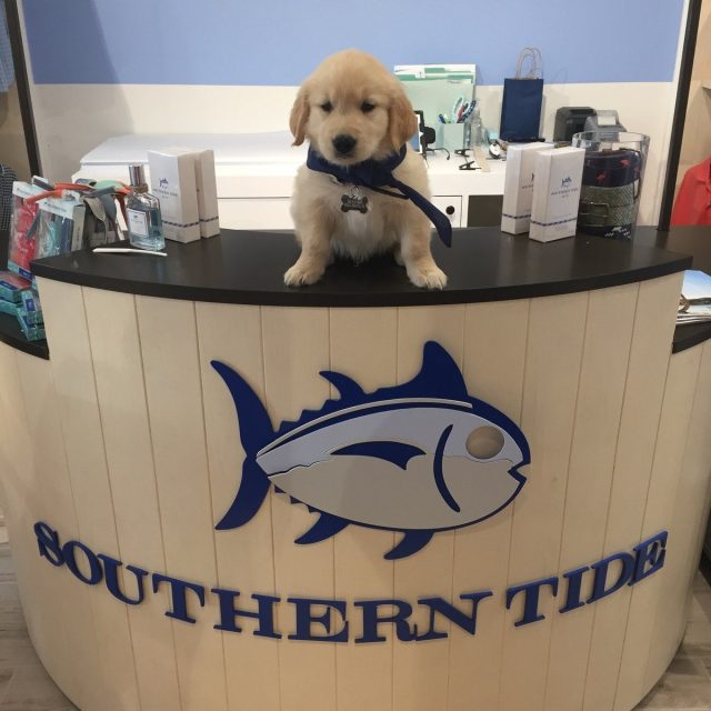 Gunner Says "shop Local!"