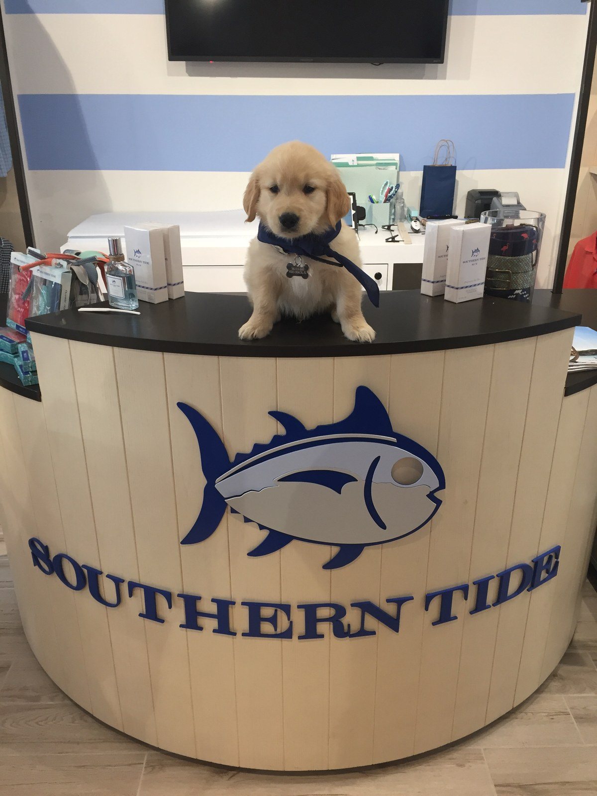 Gunner Says "shop Local!"