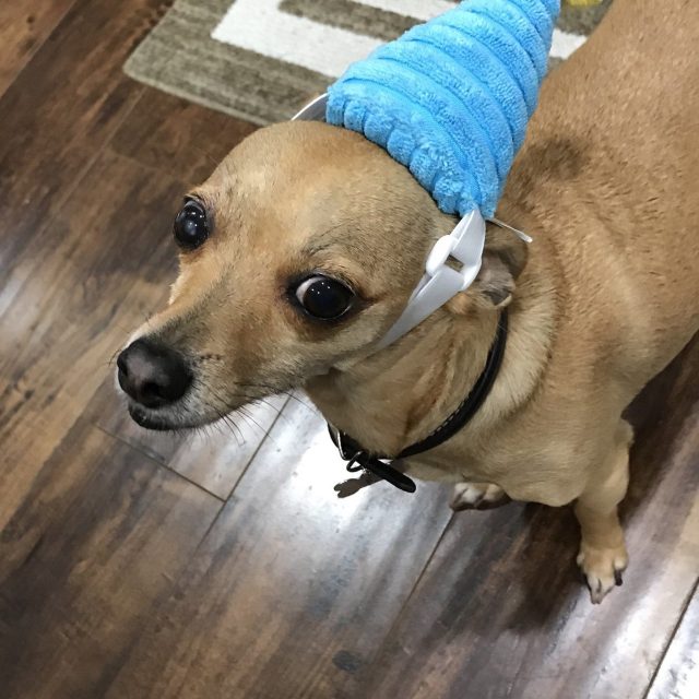 It's My Birthday