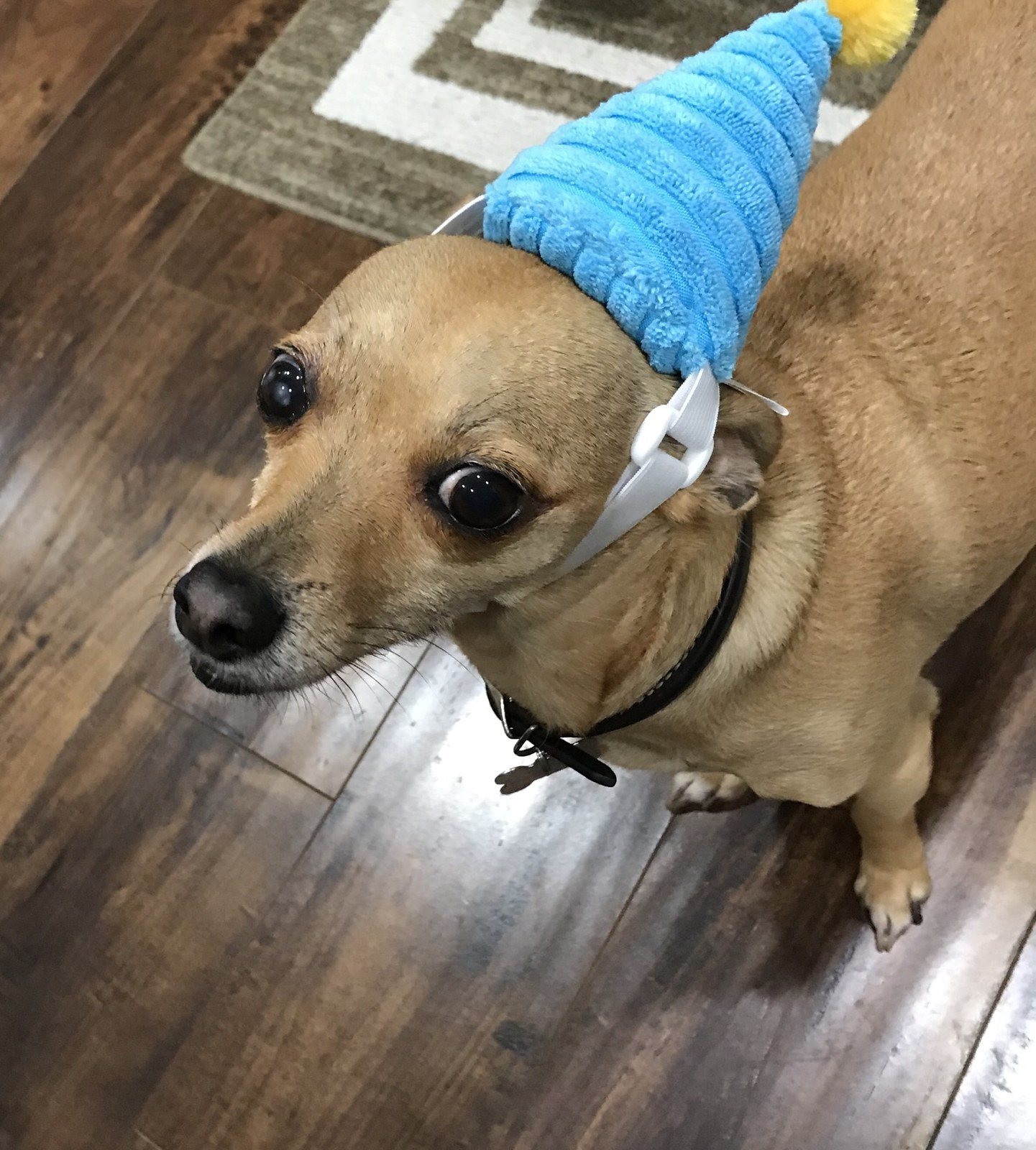 It's My Birthday