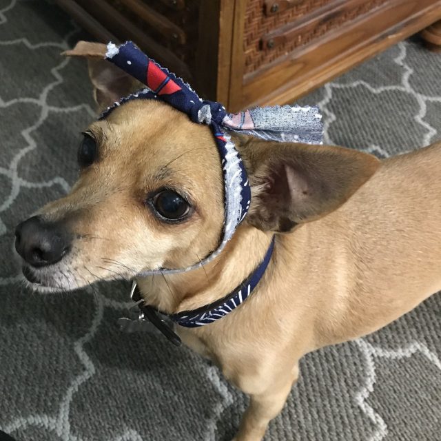 Do I Look Pretty?