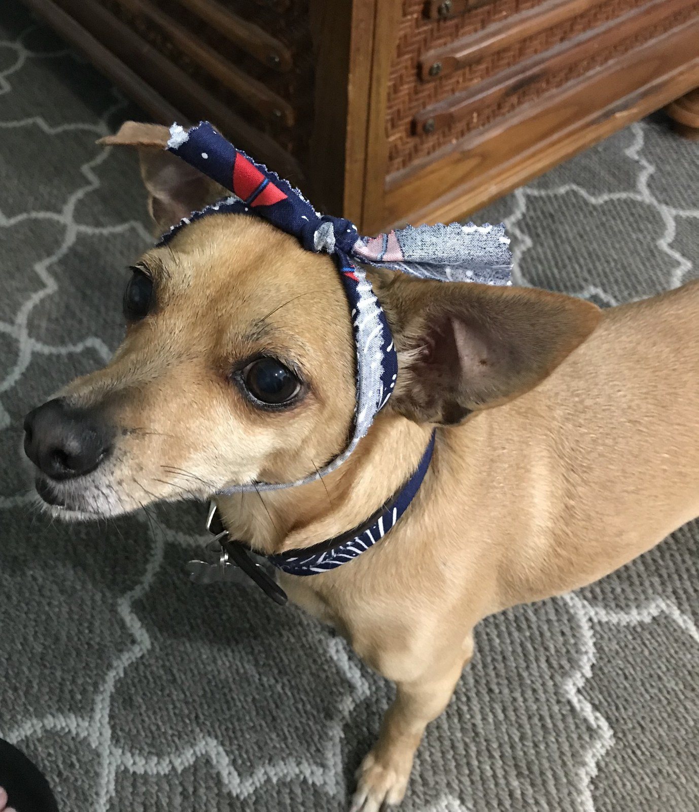 Do I Look Pretty?