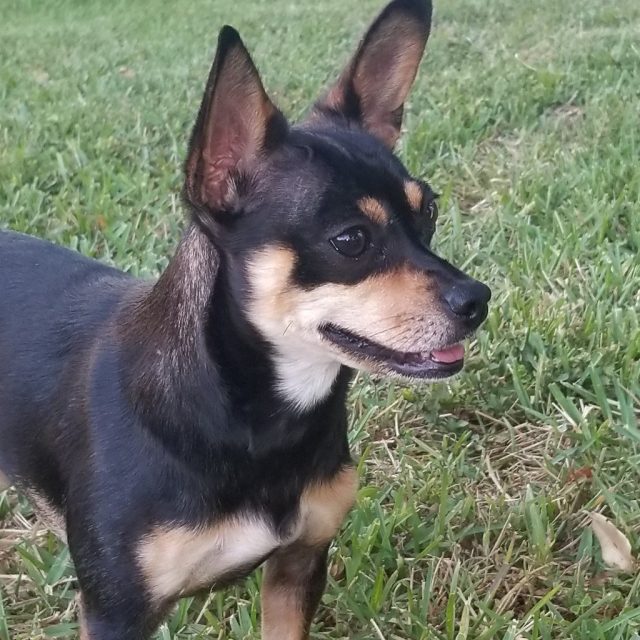 Playful Lilly