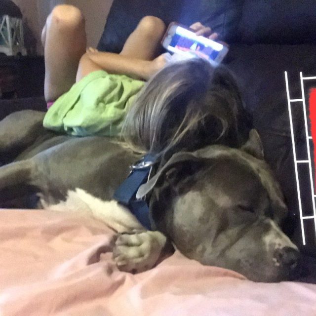 A Girls Best Friend