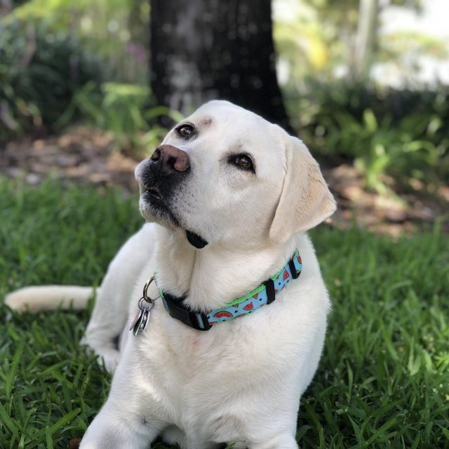 Hanging In The Shade