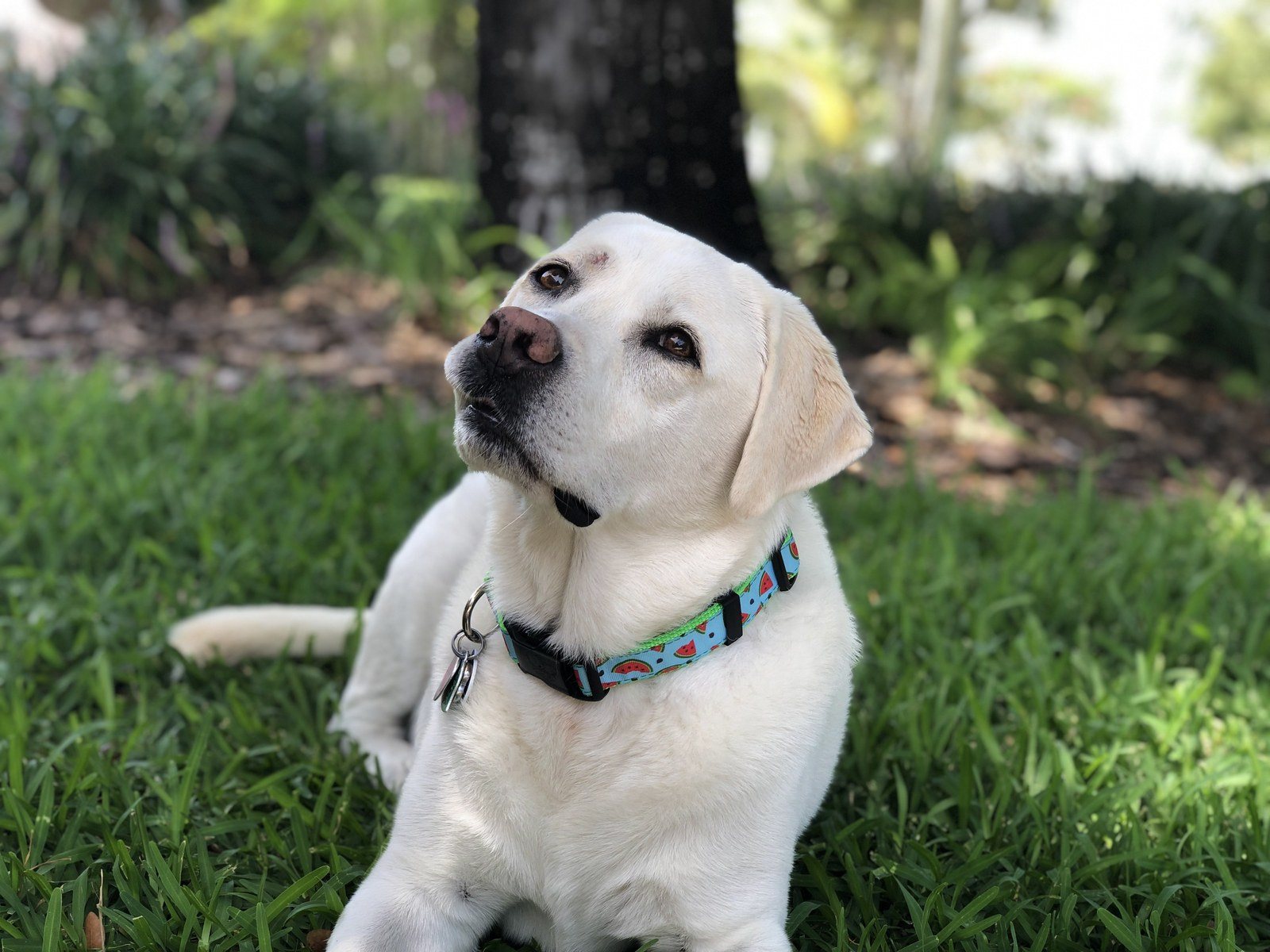 Hanging In The Shade