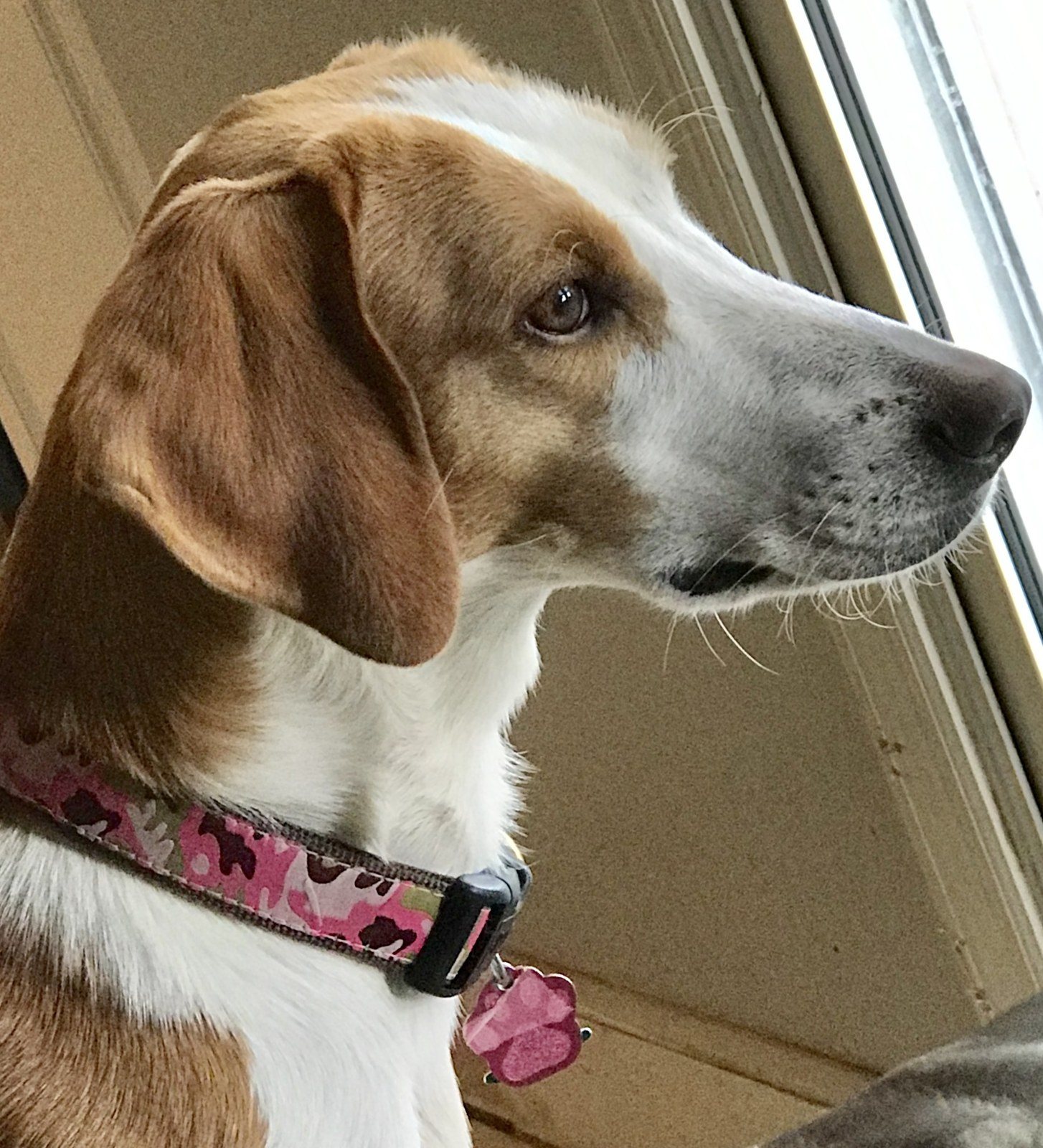 Sadie