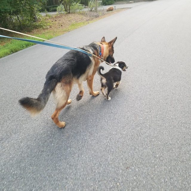 Best Buds
