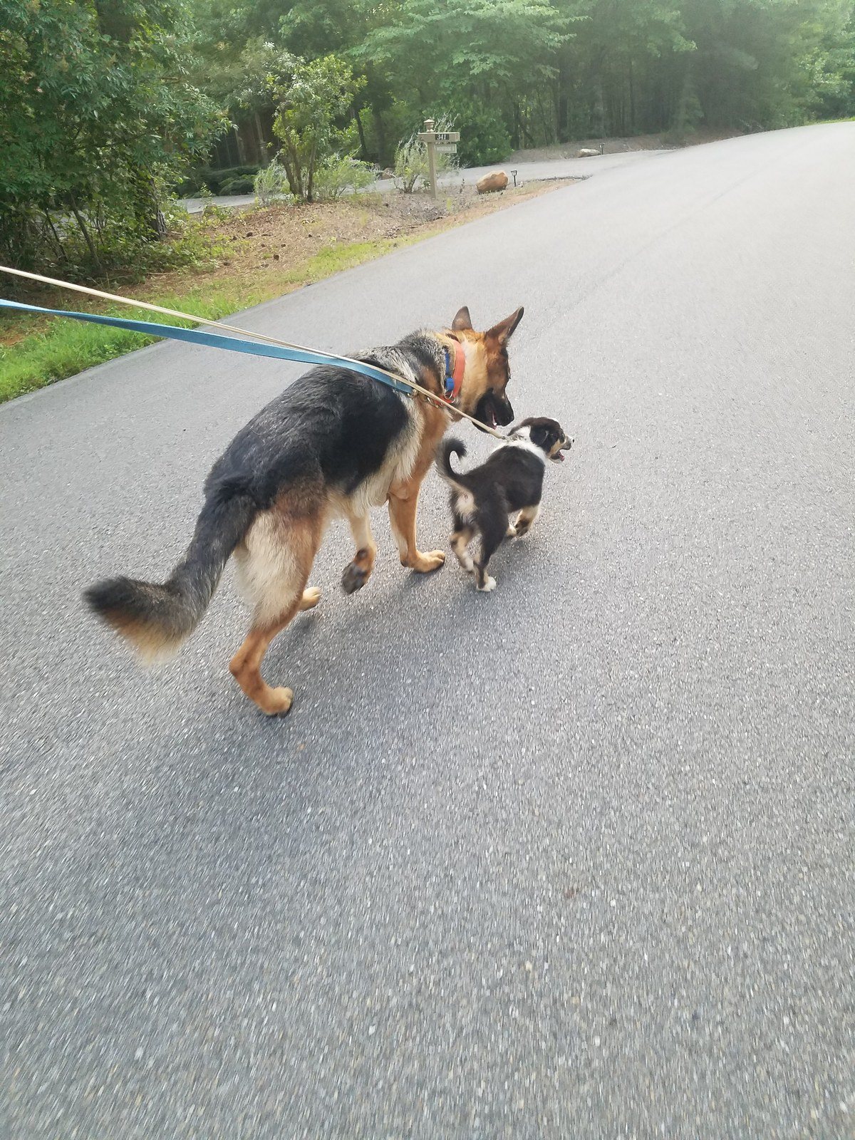 Best Buds