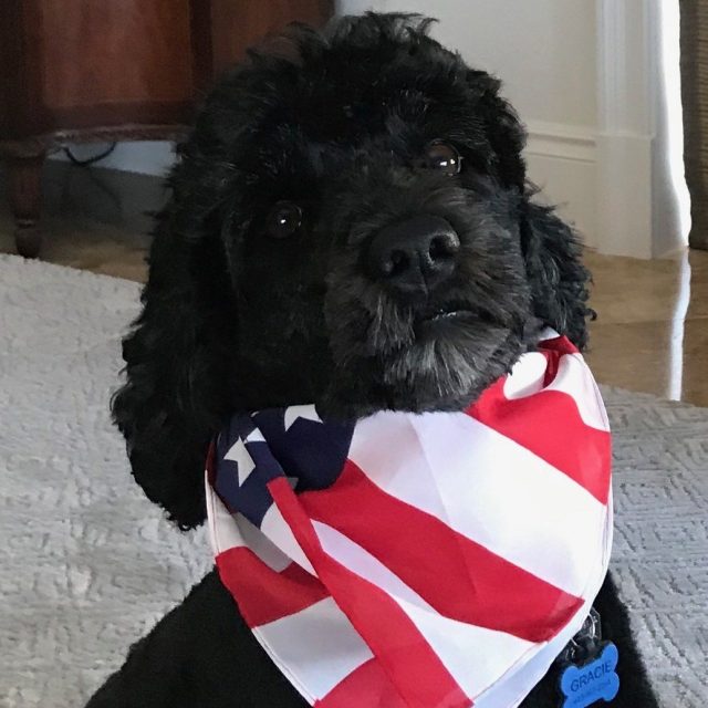 American Girl